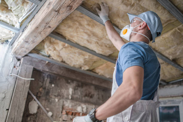 Best Insulation Repair Services  in Doney Park, AZ