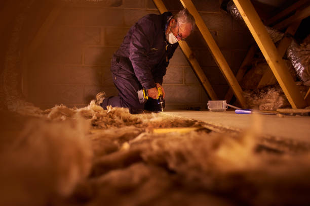 Insulation Replacement Services in Doney Park, AZ